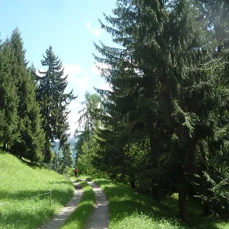 게스트하우스 Di Baut 오바로