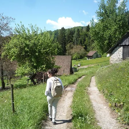 Di Baut * Ovaro